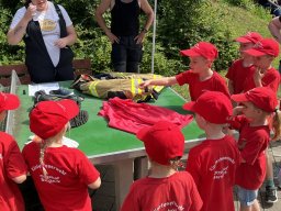 Kinderflamme der Inspektion 3